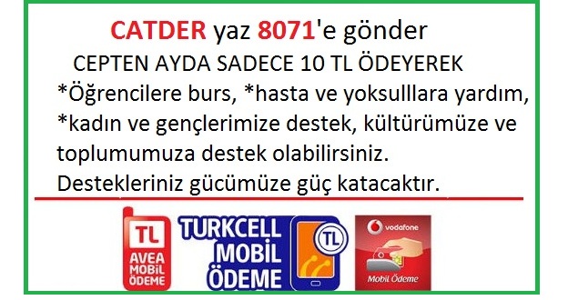 DESTEK